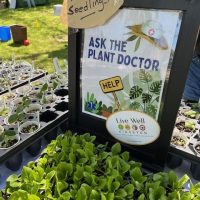 Ask the Plant Doctor! Free Advice and Seedlings at Earth Fair
